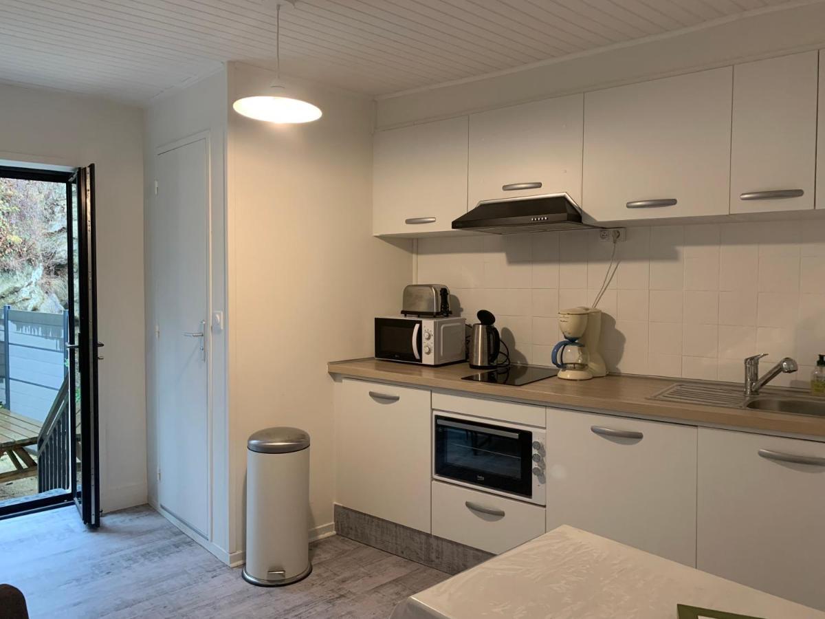 Appartement 4 Personnes, 1 Chambre, Terrasse, Wifi, Proche Du Centre La Bourboule ภายนอก รูปภาพ